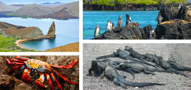 Avalon Waterways cruises to the Galapagos